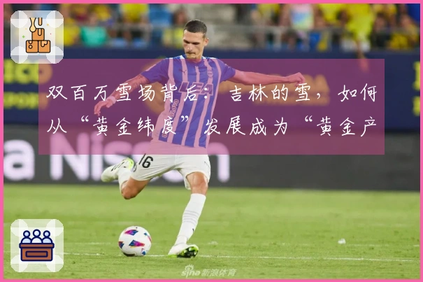 双百万雪场背后：吉林的雪，如何从“黄金纬度”发展成为“黄金产业”