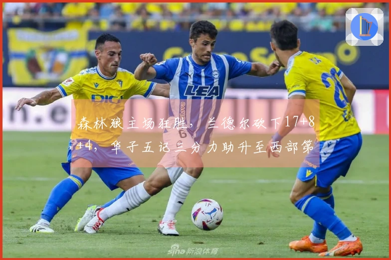 森林狼主场狂胜，兰德尔砍下17+8+4，华子五记三分力助升至西部第三