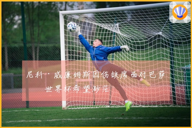 尼科·威廉姆斯因伤缺席面对巴萨，世界杯希望渺茫