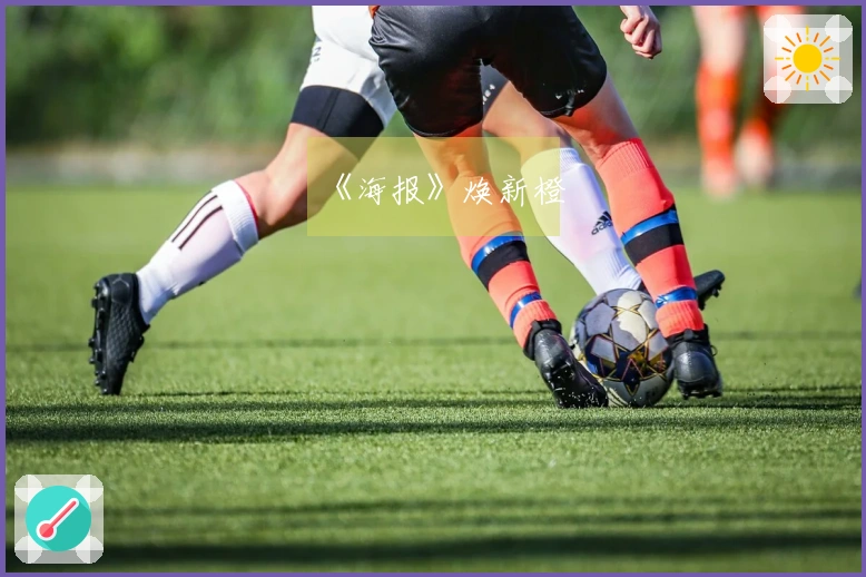 《海报》焕新橙